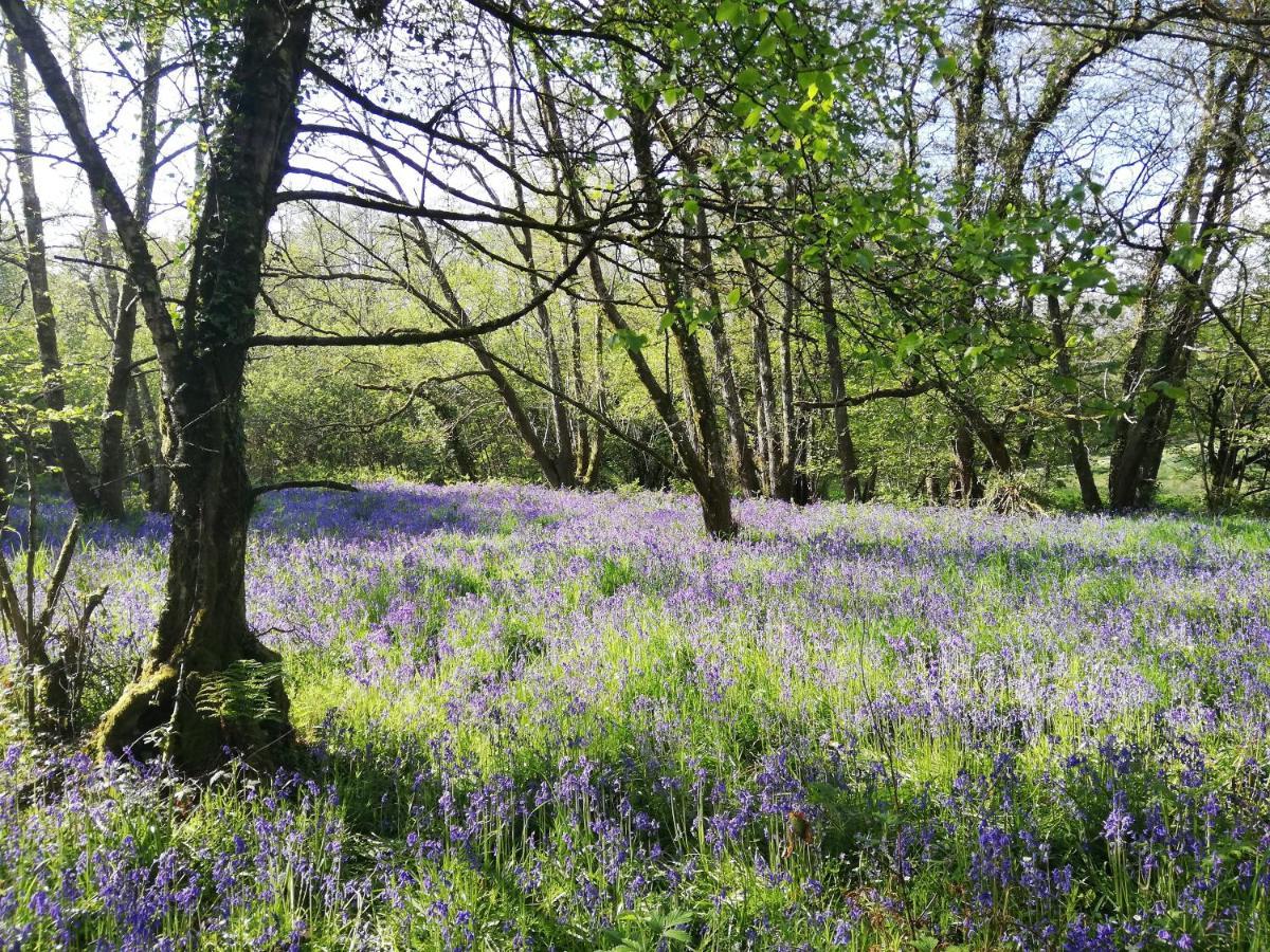 Wray Valley Moretonhampstead Εξωτερικό φωτογραφία