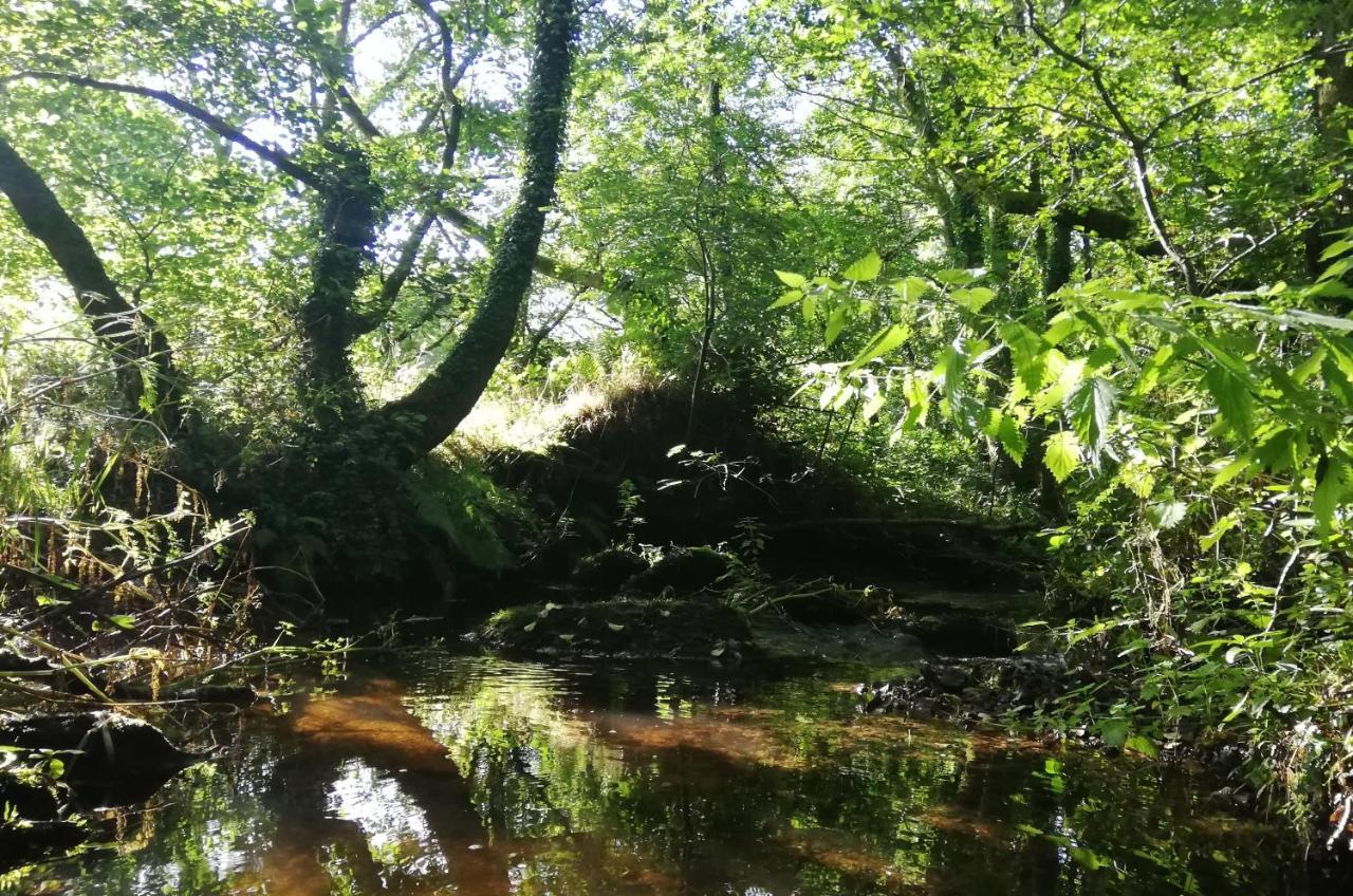 Wray Valley Moretonhampstead Εξωτερικό φωτογραφία