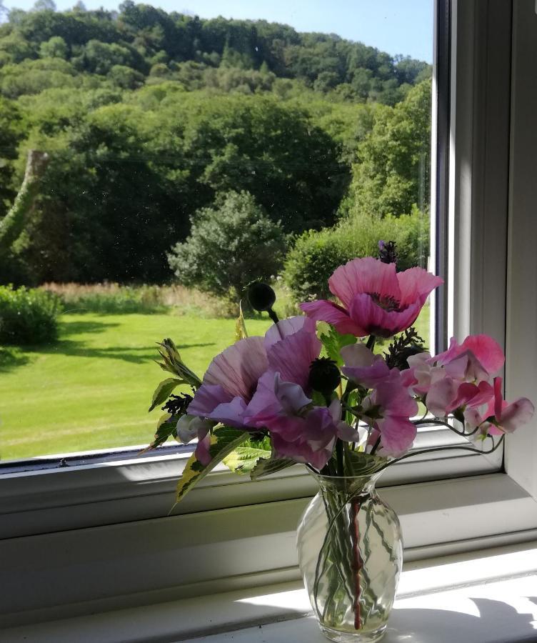 Wray Valley Moretonhampstead Εξωτερικό φωτογραφία