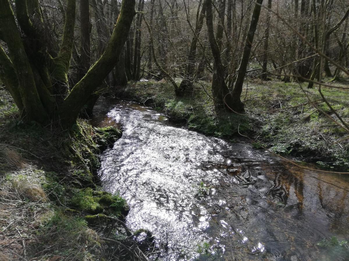 Wray Valley Moretonhampstead Εξωτερικό φωτογραφία