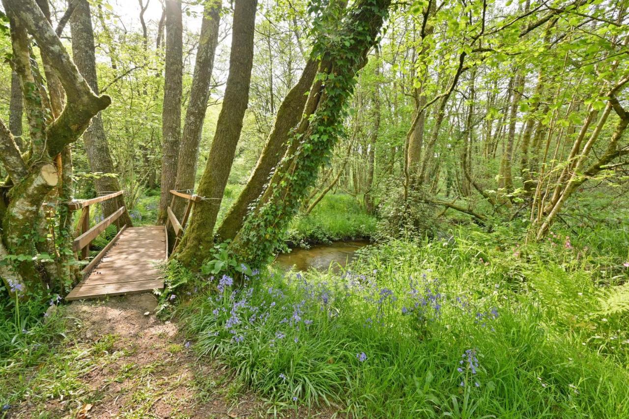 Wray Valley Moretonhampstead Εξωτερικό φωτογραφία