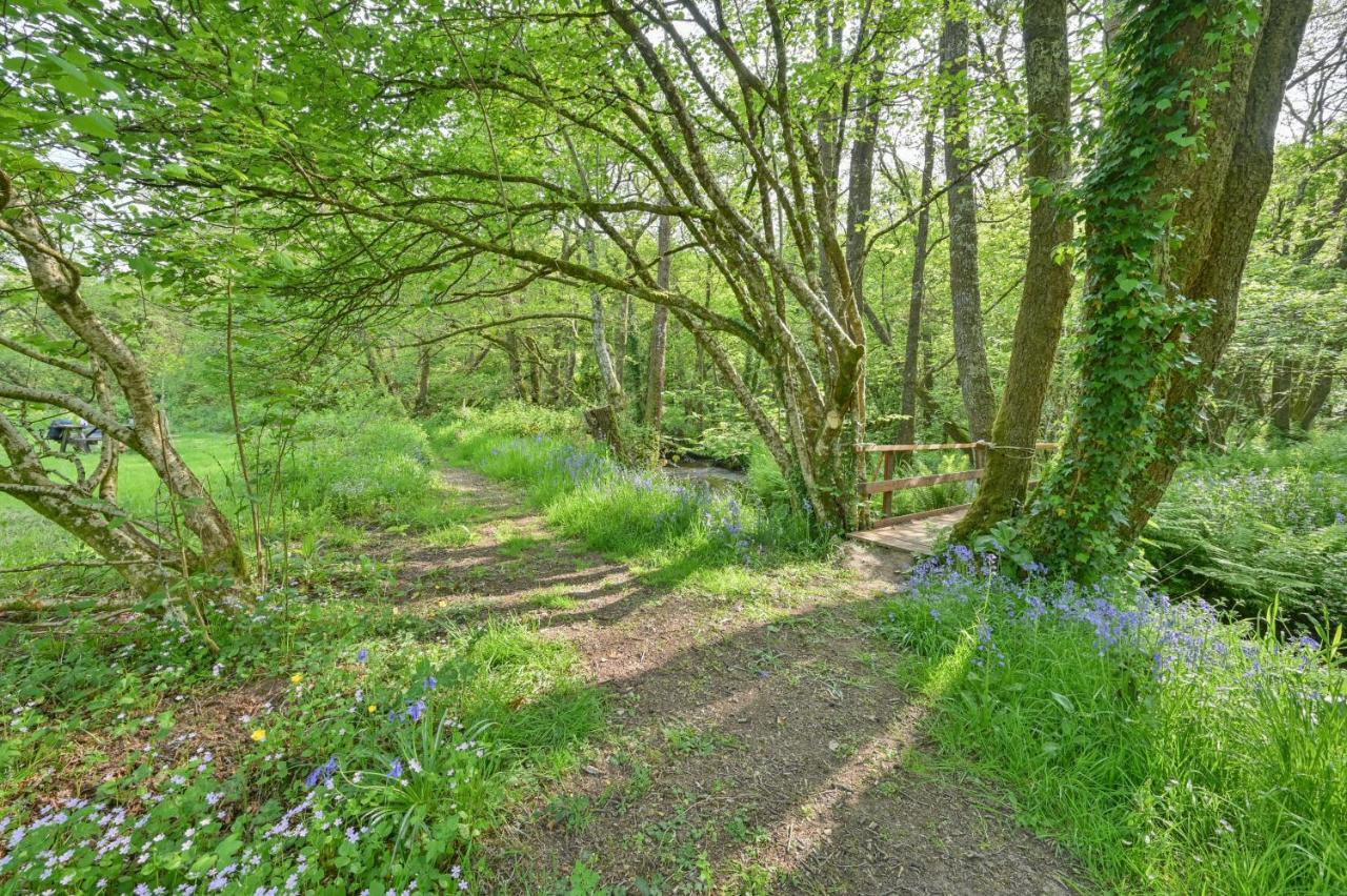 Wray Valley Moretonhampstead Εξωτερικό φωτογραφία