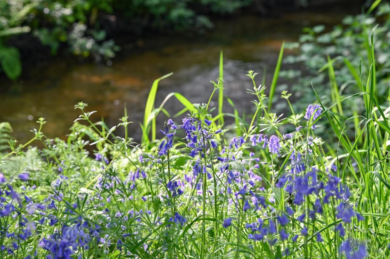 Wray Valley Moretonhampstead Εξωτερικό φωτογραφία