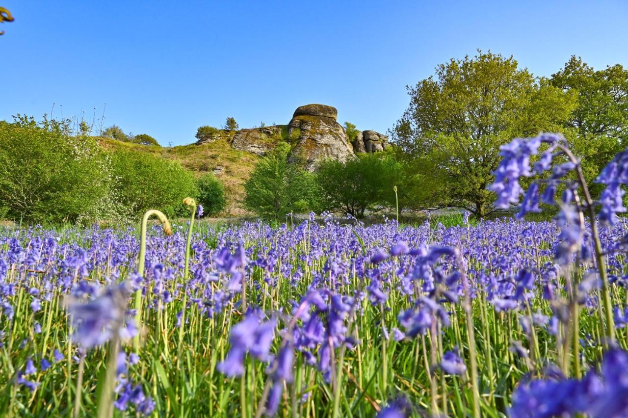 Wray Valley Moretonhampstead Εξωτερικό φωτογραφία