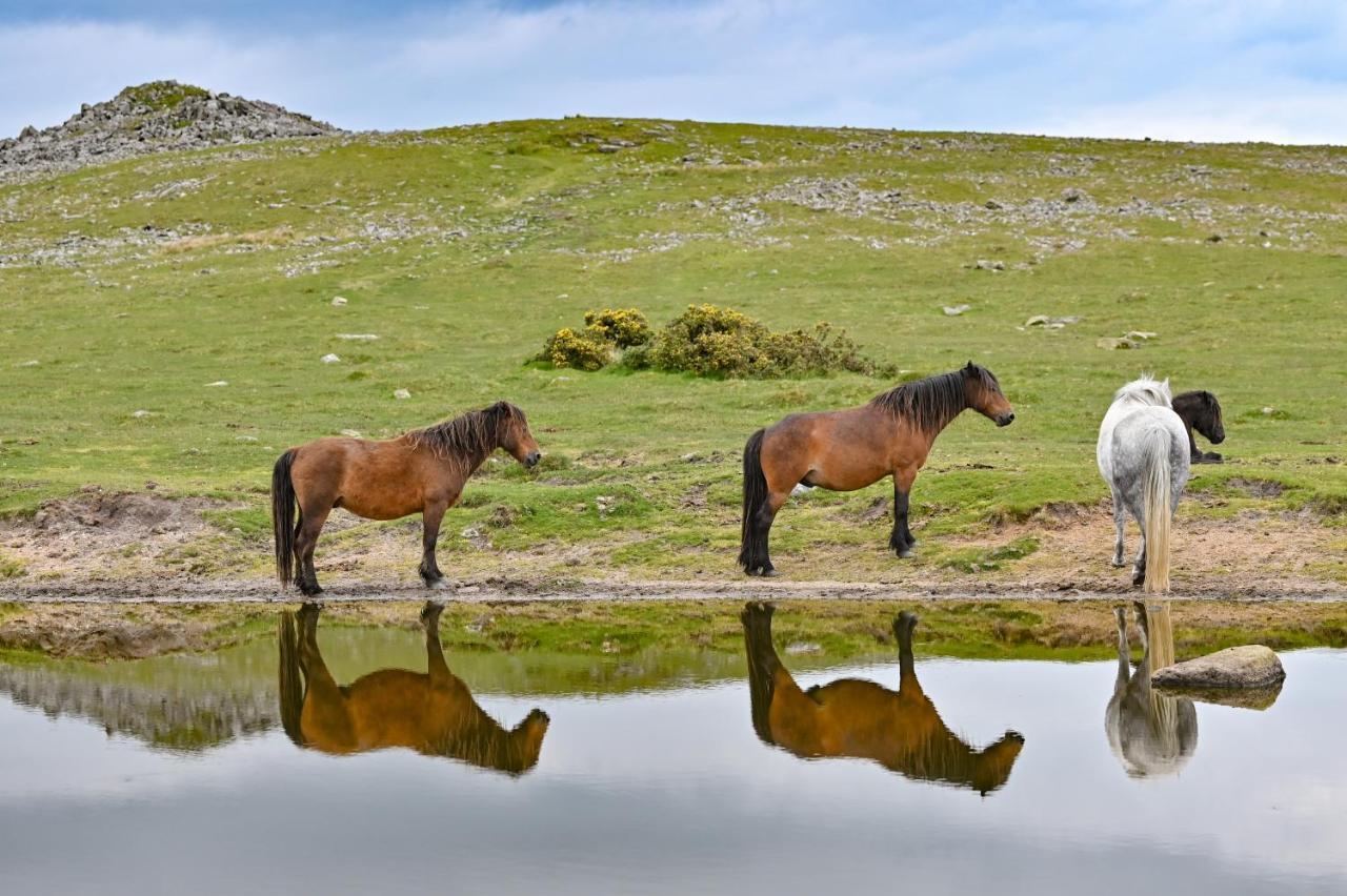 Wray Valley Moretonhampstead Εξωτερικό φωτογραφία